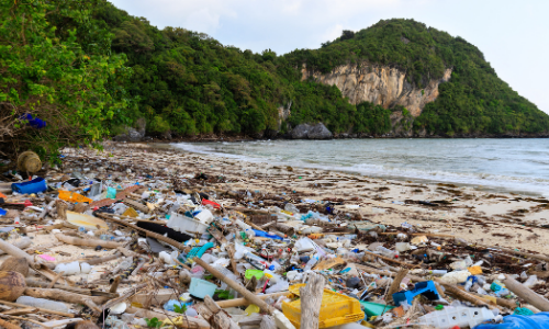 Plastic litter on the beach