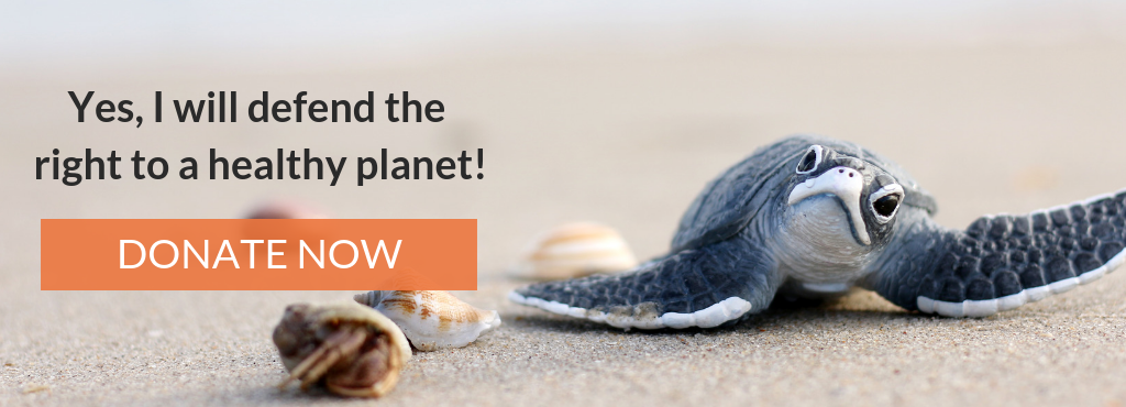 Yes! I will defend the right to a healthy planet! (Click here)