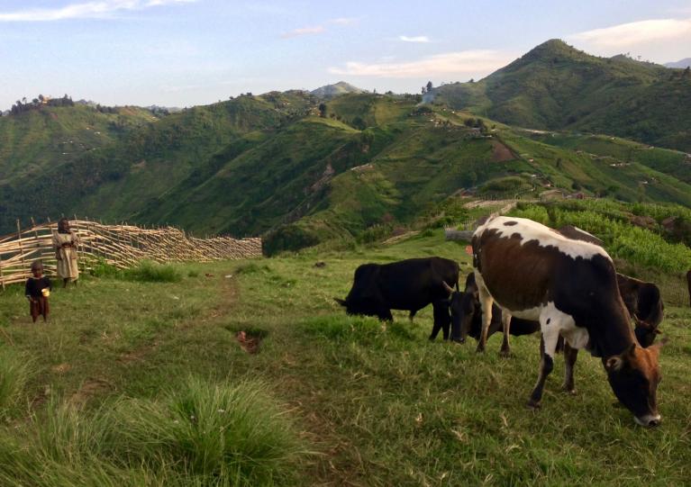 Sengwer in Kenya - photo by FPP